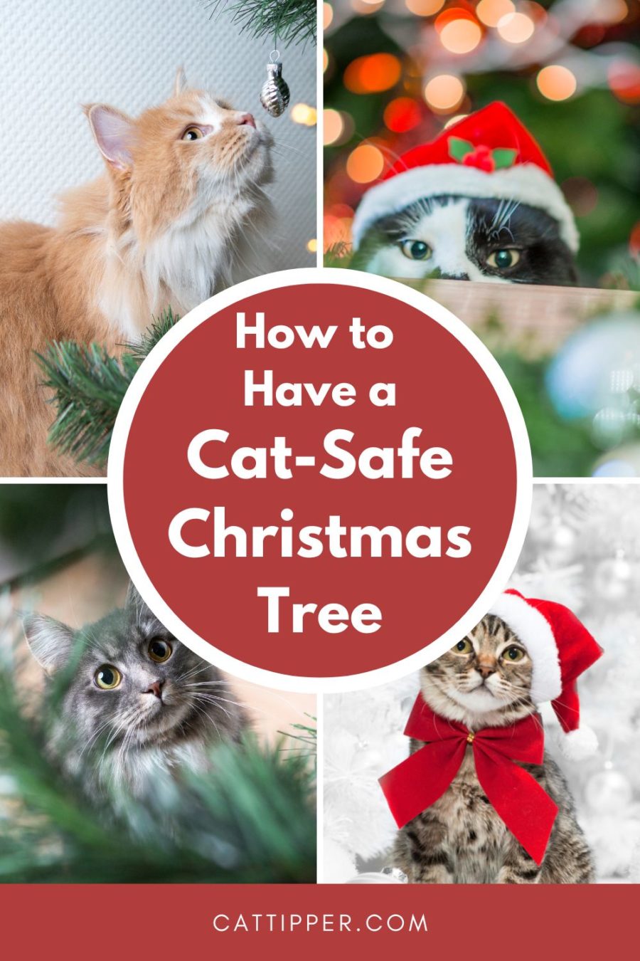How to Have a Cat-Safe Christmas Tree This Year