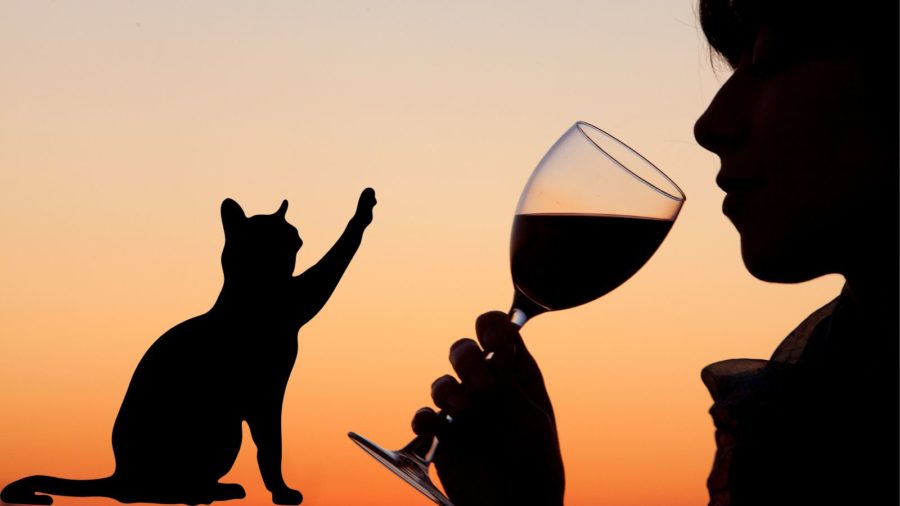 National Drink Wine with Your Cat Week is held every February