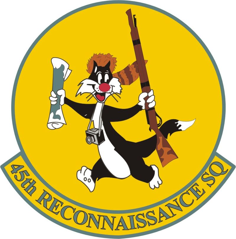 Brandishing a rifle and wearing a Davy Crockett-style raccoon cap, an image of Sylvester appears on the emblem of the US Air Force unit the 45th Reconnaissance Squadron.
