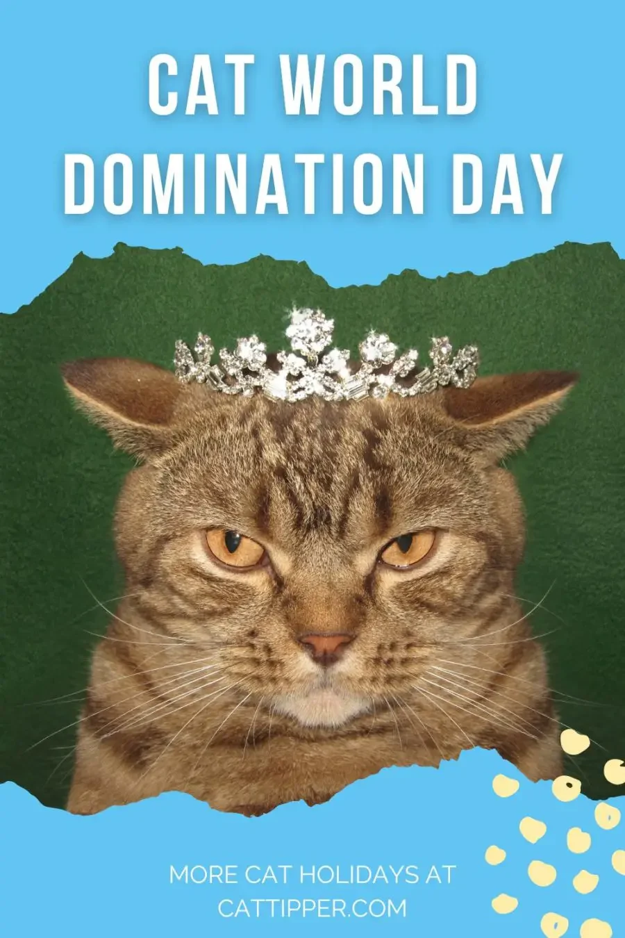 Cat World Domination Day