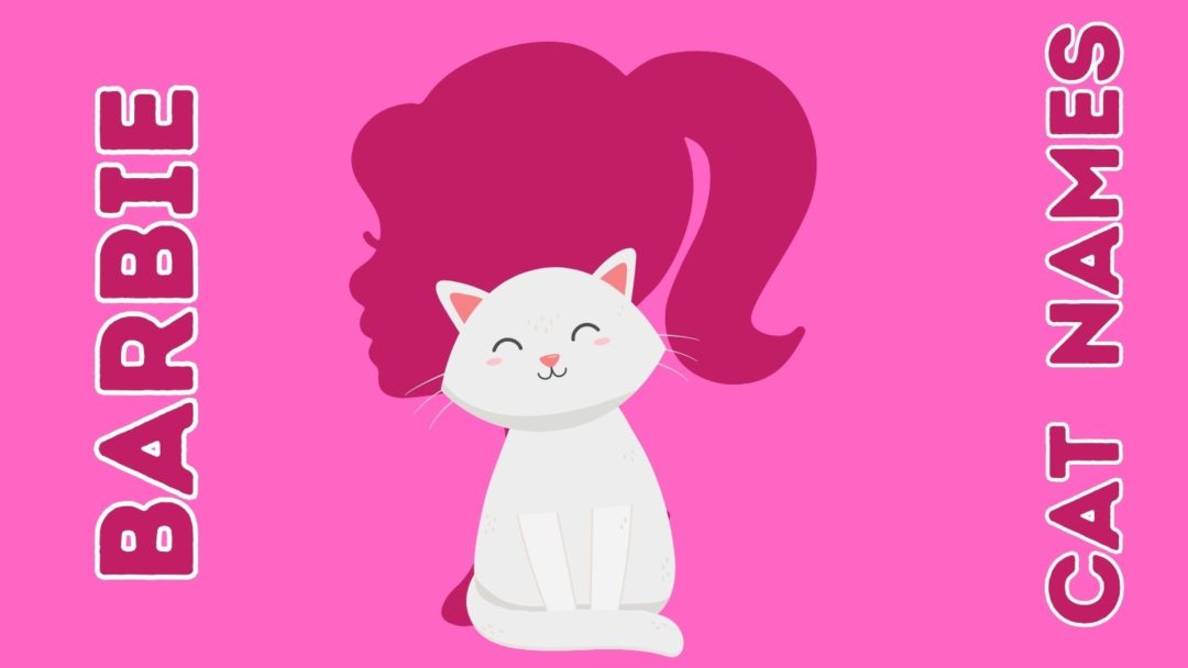 Barbie Cat Names: The Purrfect Names for Your Feline Fashionista!