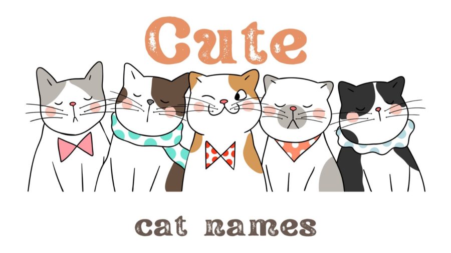 cartoon cats: cute cat names