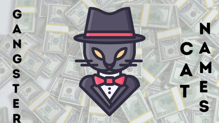 140+ Gangster Cat Names for Your Tough Kitty