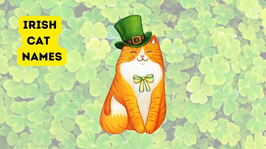 160 Irish Cat Names: Celtic Names from the Emerald Isle - graphic of cat with leprechaun hat