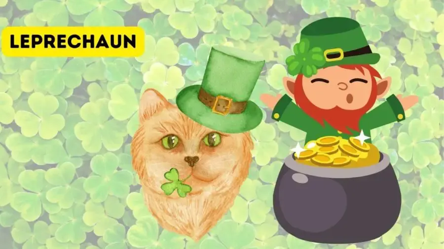 Leprechaun graphic