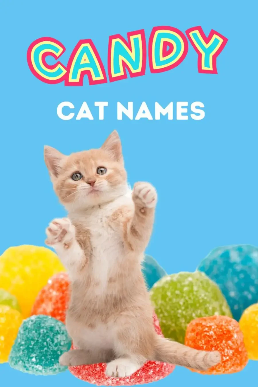 Candy Cat Names inspired by chocolate bars, taffy, bubble gum and more.