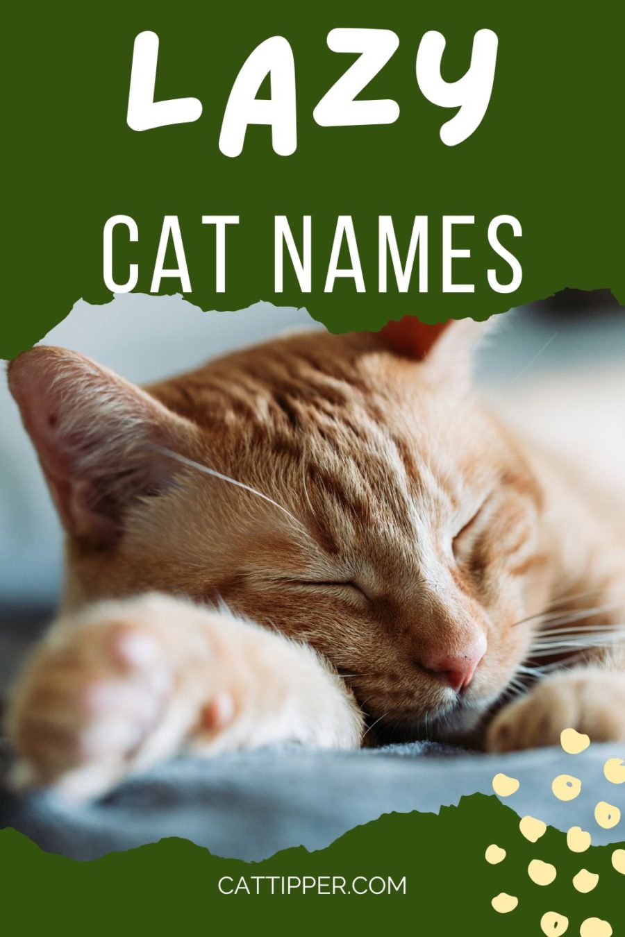 Lazy Cat Names for Your Sleepy Sidekick!