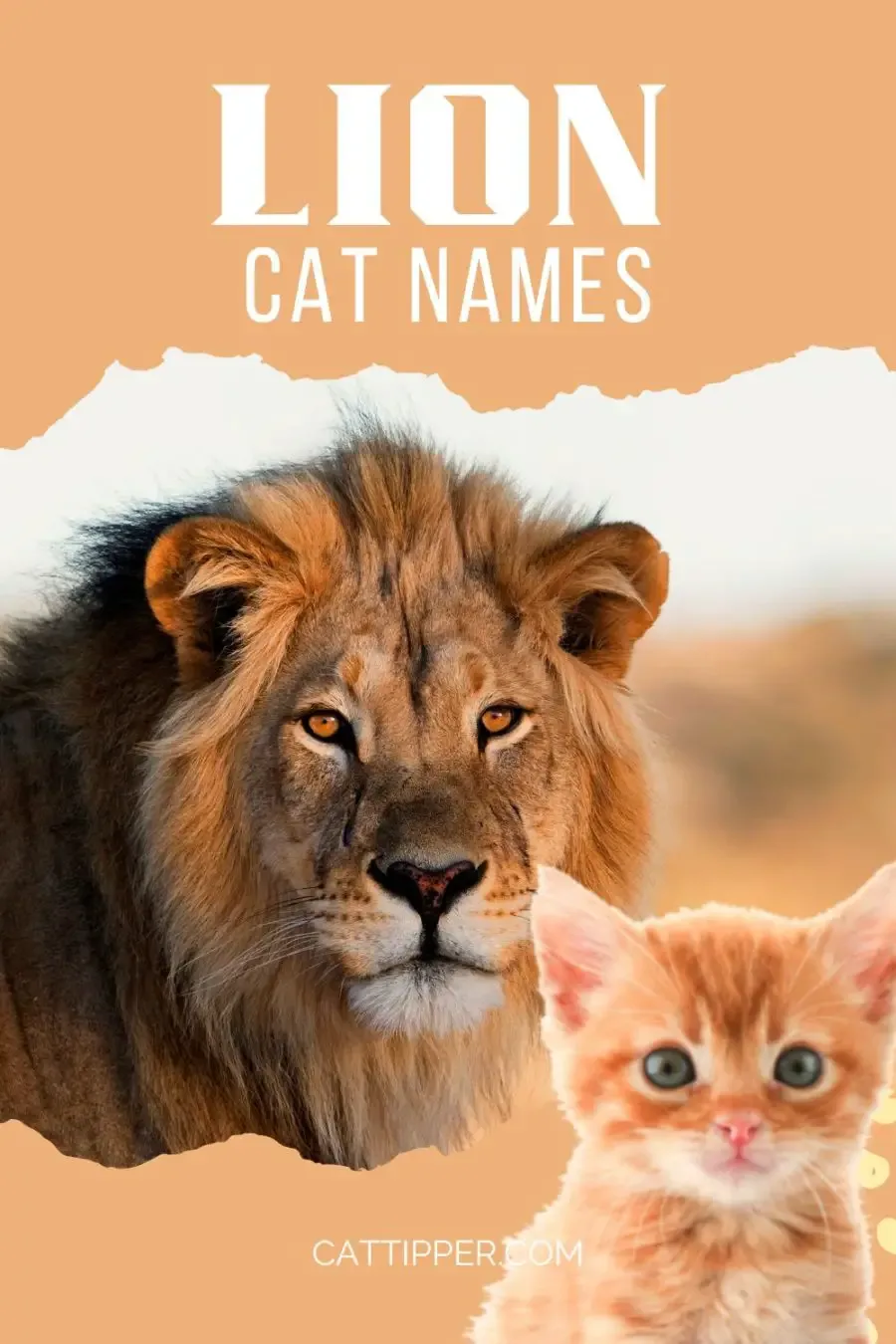 lion cat names; photo of lion and kitten