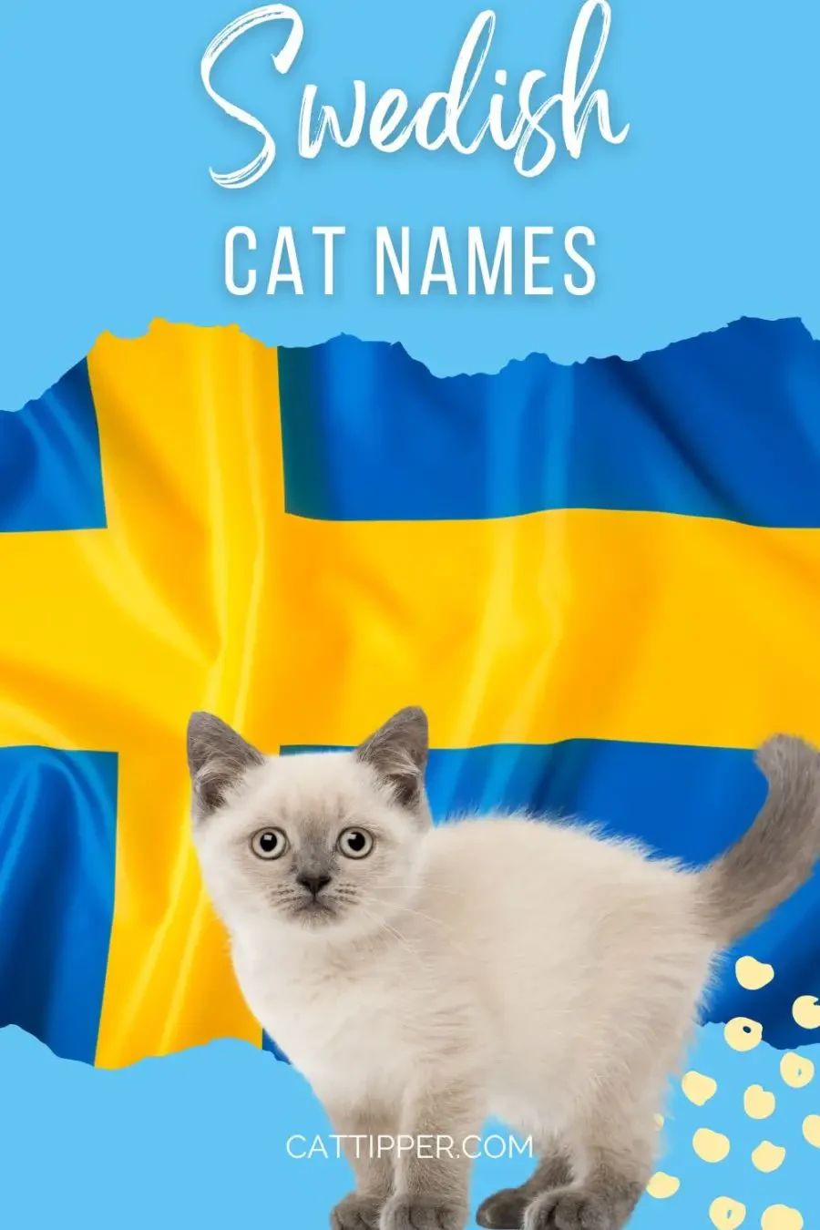 Swedish cat names -- photo of kitten with background of flag of Sweden