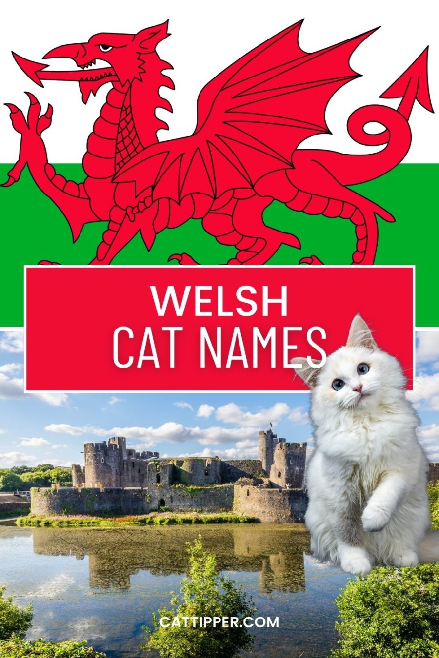 Welsh cat Names - image of Welsh Castle and Welsh Flag with white cat