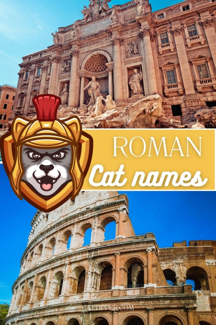 140+ Roman Cat Names from Aurora to Virgil!
