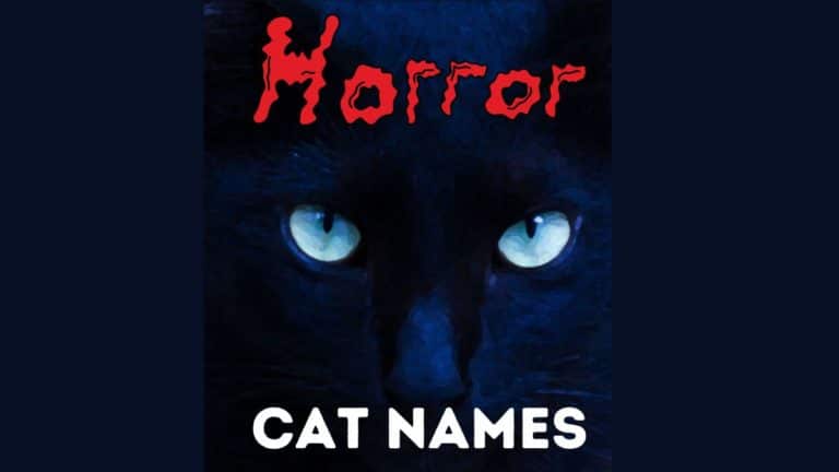 99 Horror Movie Cat Names
