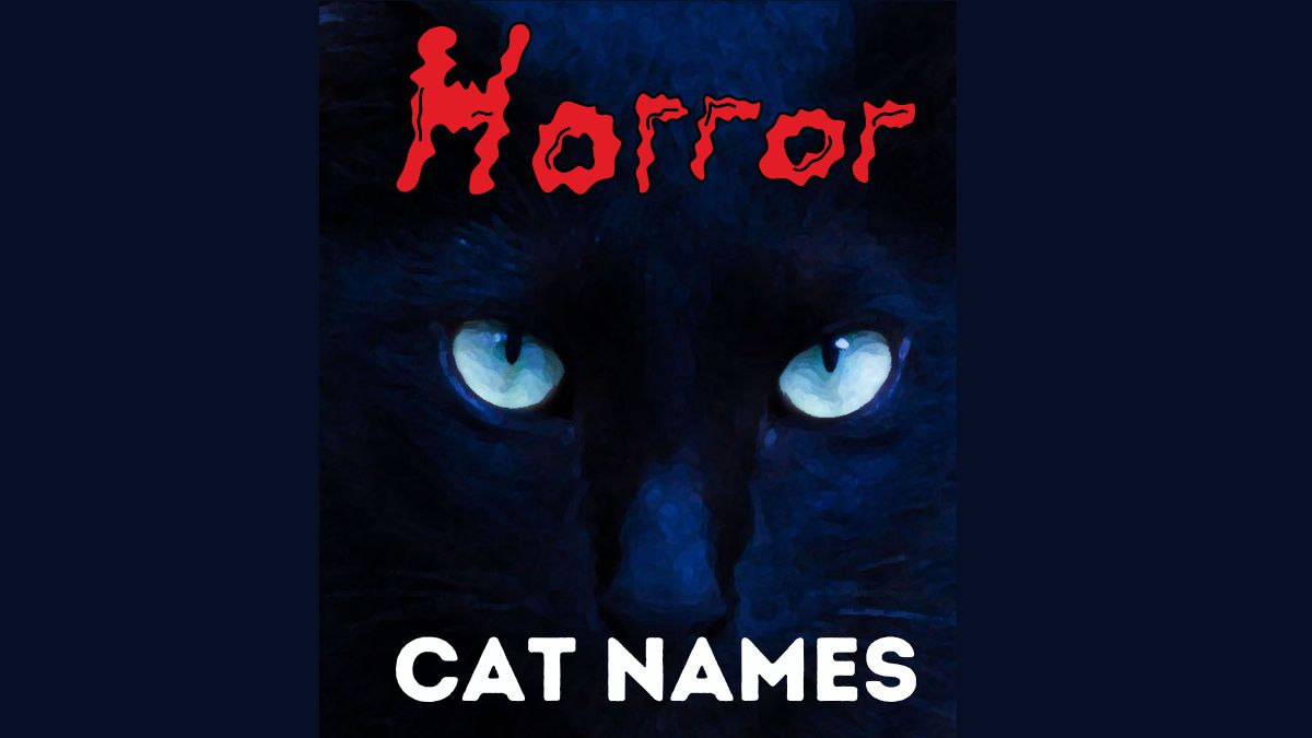 Warrior Cats Name Generator (Funny)