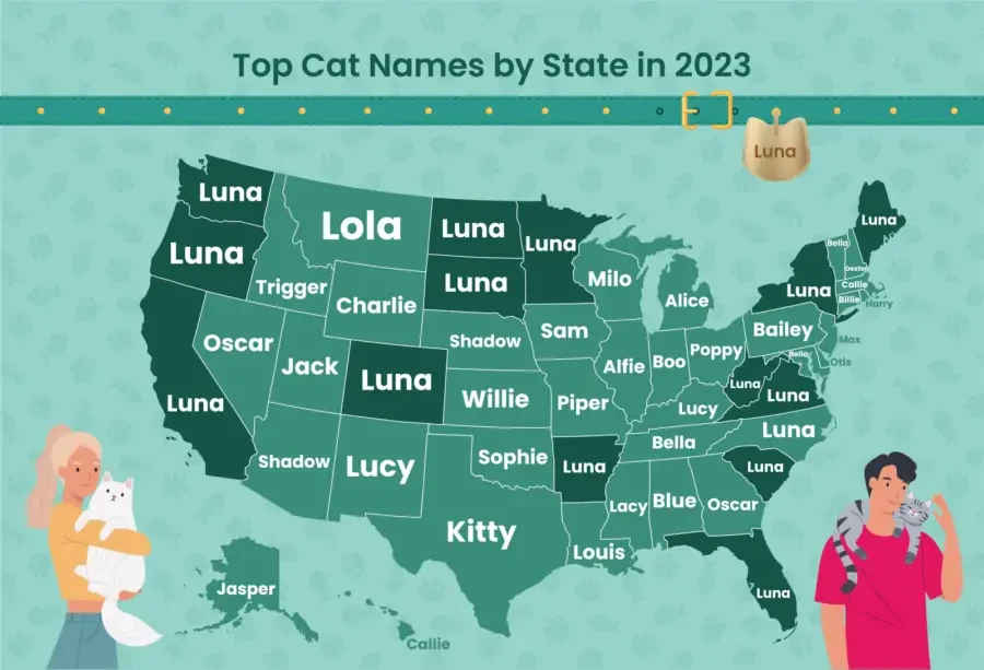 Top cat names by state