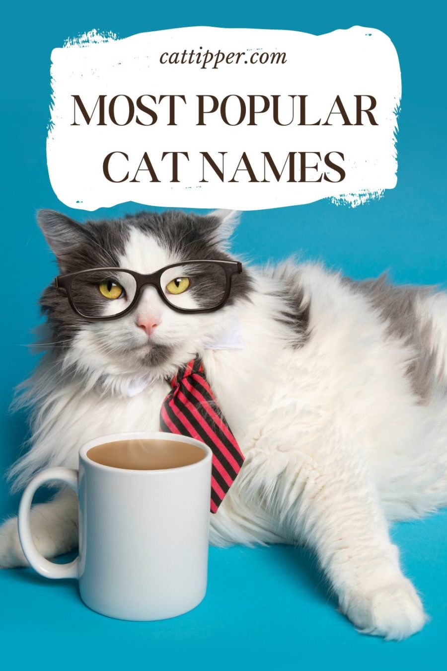 What are the most popular cat names? image of cat wearing glasses and coffee cup