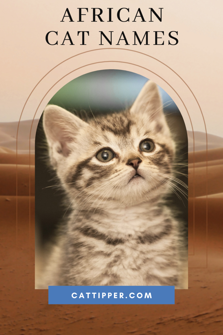 Kitten photo with background image of African desert and words African Cat Names at top of image