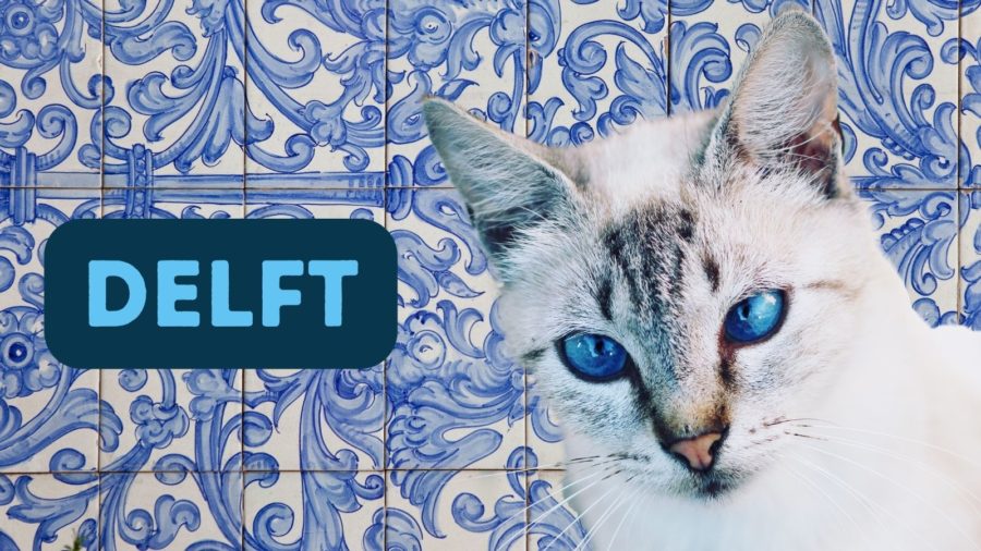 Delft as cat name; background of Delft tile with image of blue eyed cat