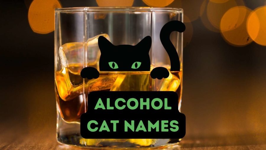 alcoholic drink with ice with cartoon of black cat and words alcohol cat names in lower portion of image