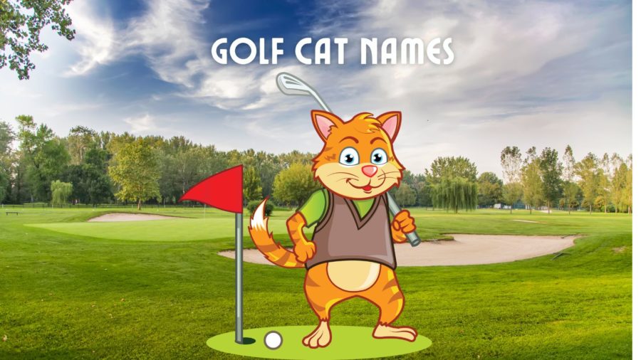 cartoon of cat playing golf over photo of golf course