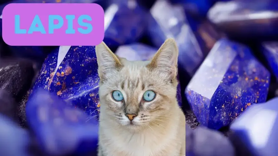 Lapis as blue eyed cat names with photo of lapis lazuli and image of blue eye kitten