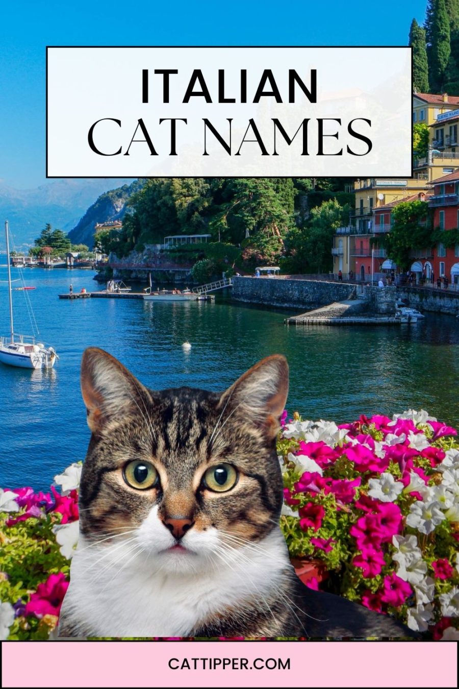 image of cat with background of Lake Como, Italy and wording Italian Cat Names