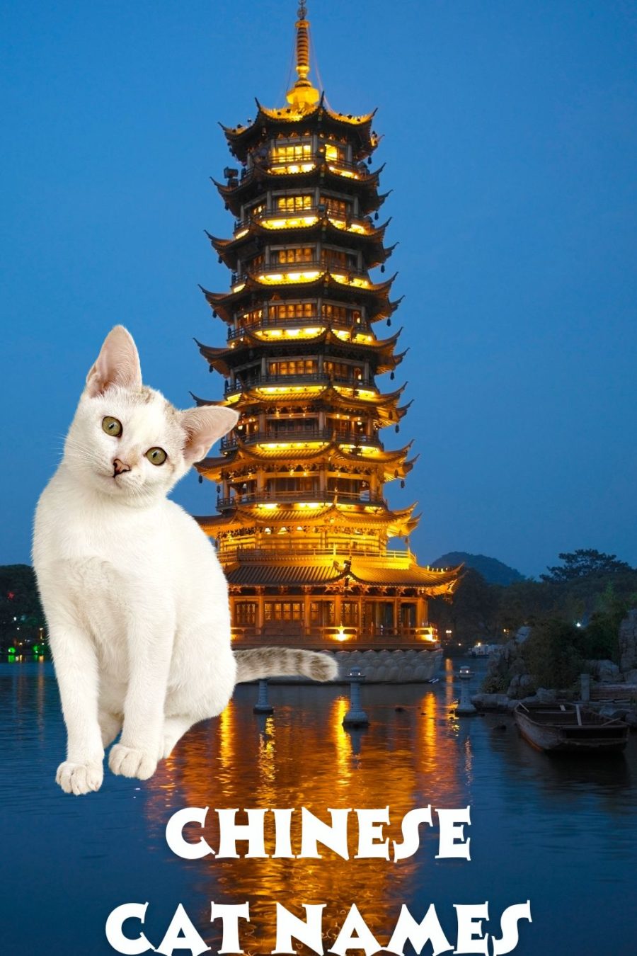 image of white cat in front of Chinese pagoda with words Chinese Cat Names on graphic