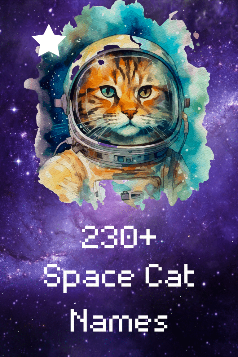 230-space-cat-names-for-your-cosmic-kitty