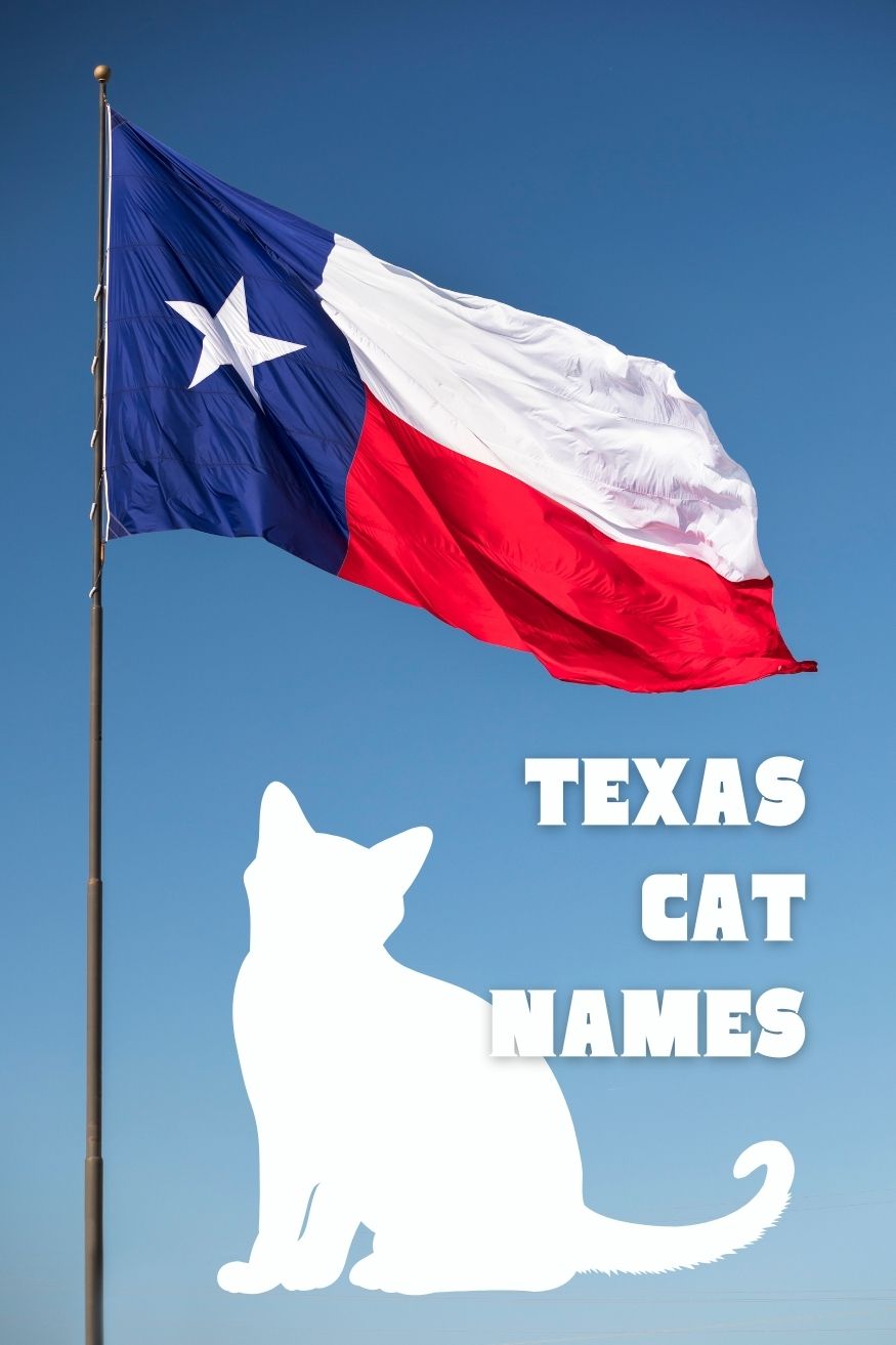 Texas names for cats with background of state flag and graphic of cat silhouette