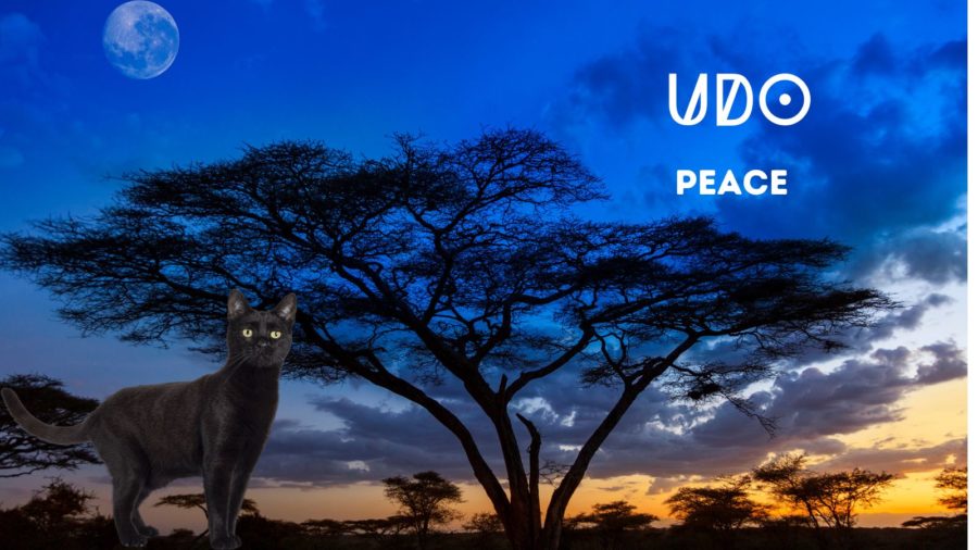 meaning of name Udo with twilight photo of Africa with image of black cat over the image