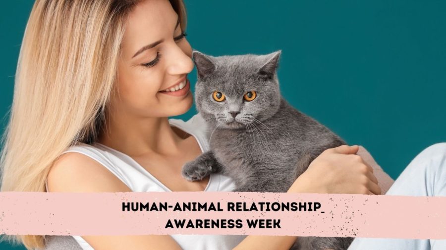 gray cat in woman's lap looking at camera with Human-Animal Relationship Awareness Week at bottom of image