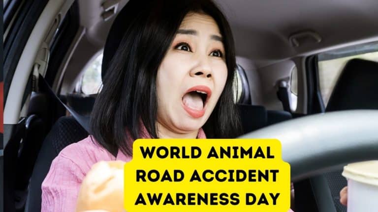 World Animal Road Accident Awareness Day