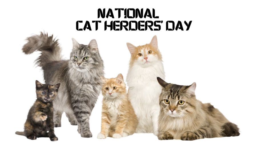 photo of a group of five cats with National Cat Herders' Day on top edge of photo