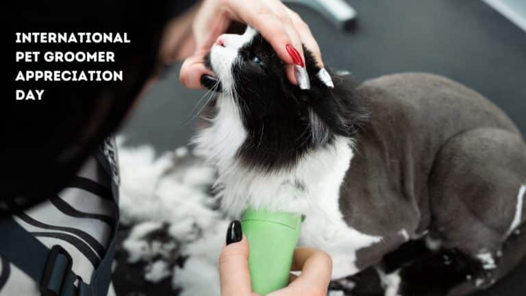 International Pet Groomer Appreciation Day