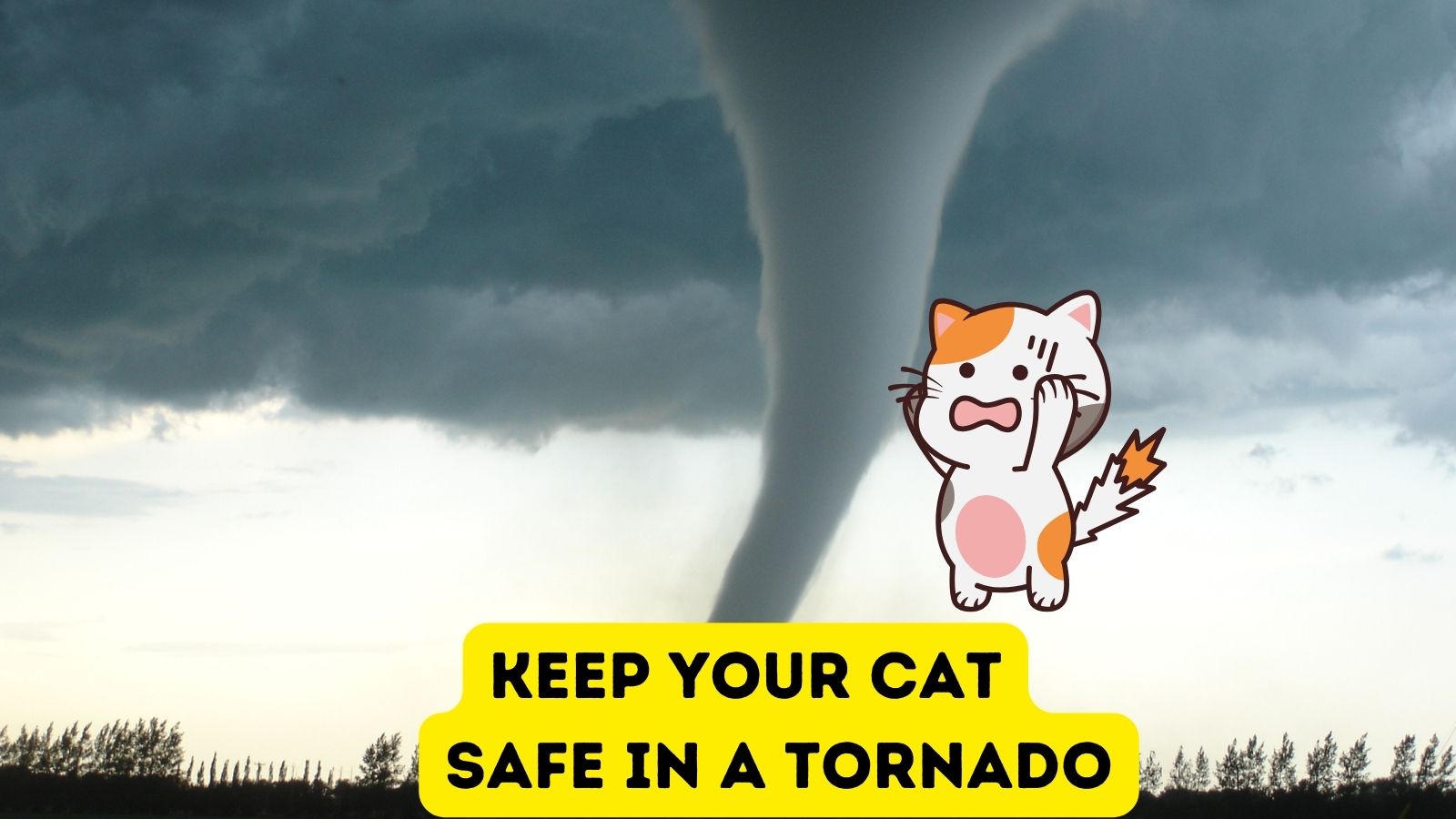 https://www.cattipper.com/wp-content/uploads/2023/10/tornado.jpg