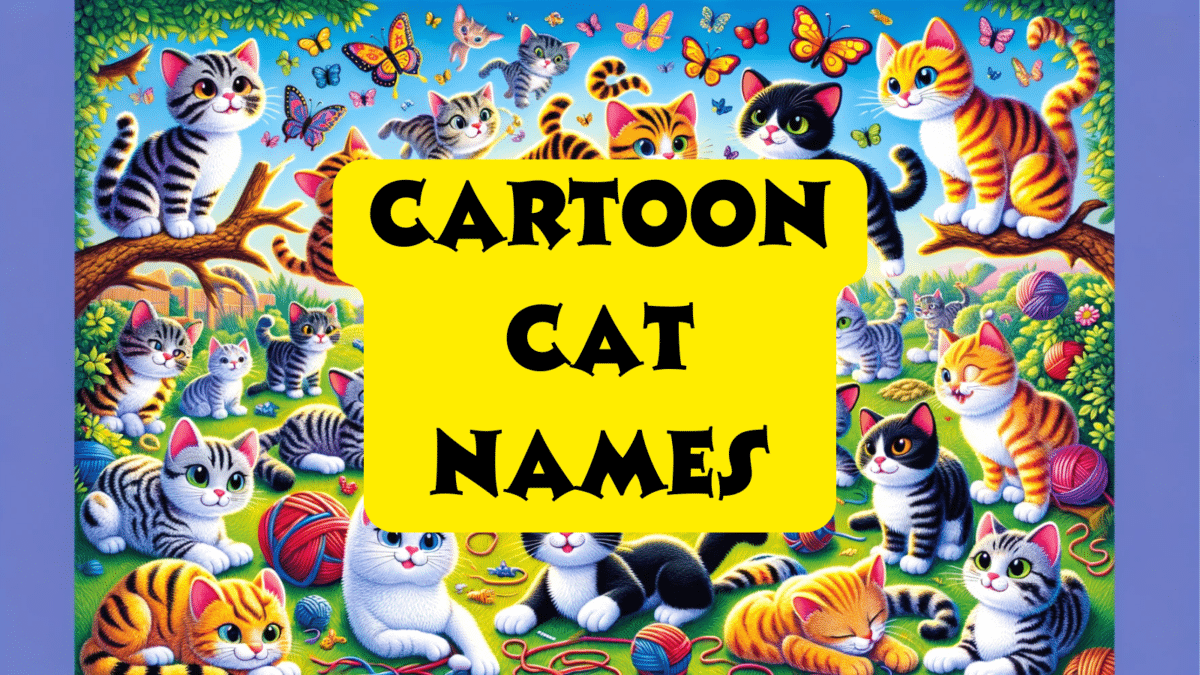 210 Cartoon Cat Names 210 Cartoon Cat Names