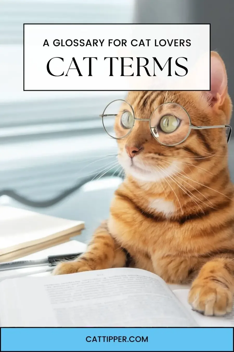 cat wearing glasses with book opened in front of his paws; words Cat Terms and A Glossary for Cat Lovers at top of image