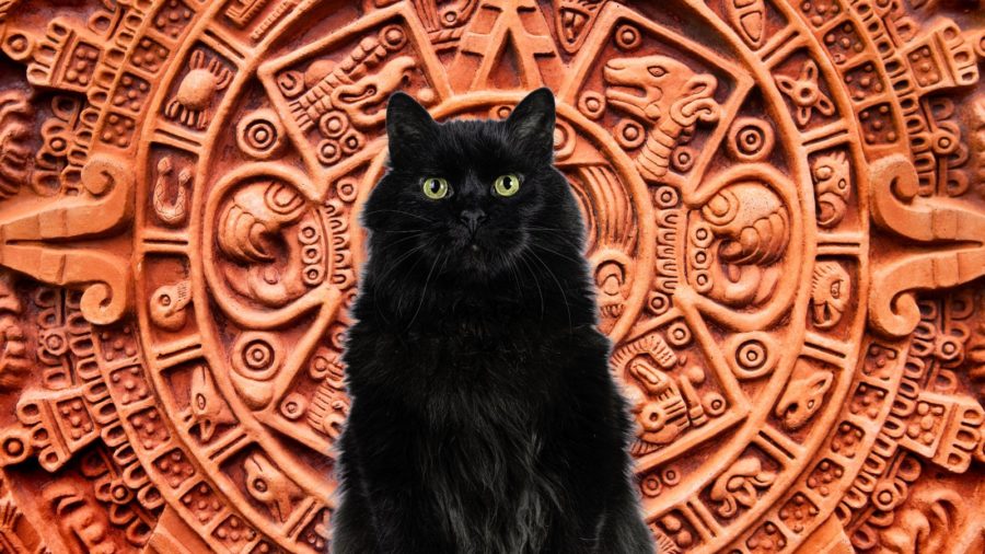 Black cat against background of Aztec calendar