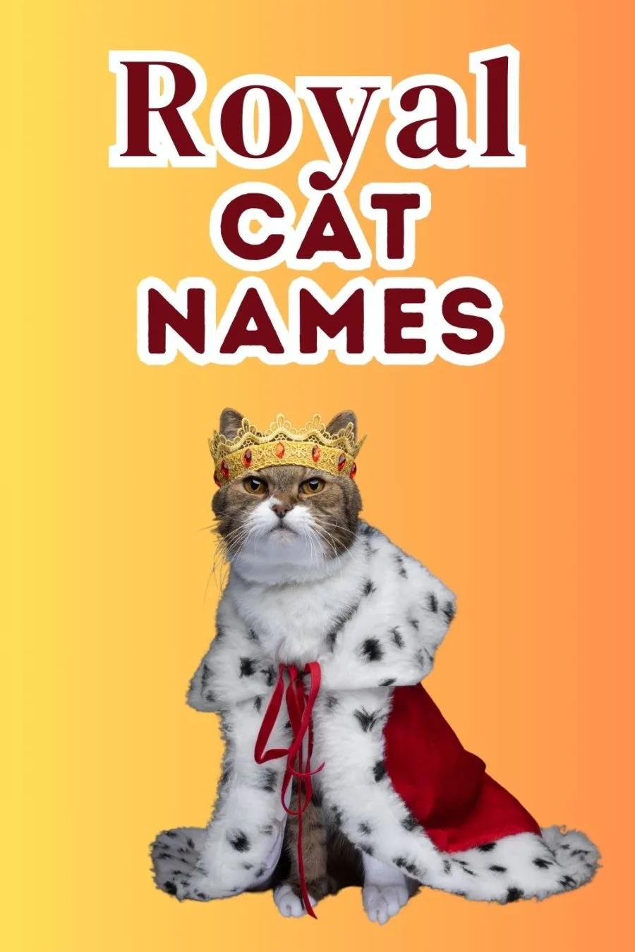 cat in crown and robe looking at camera in lower portion of image; in upper portion of image are words Royal Cat Names