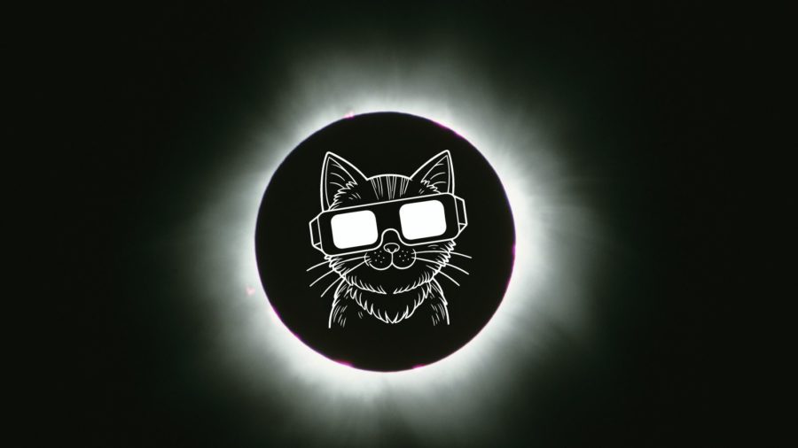 Are Eclipses Dangerous to Cats?