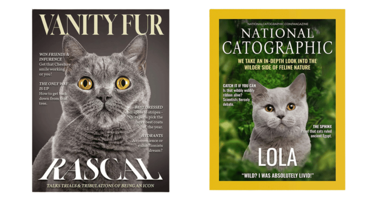 Review: Lord of the Pets Cat Portraits!